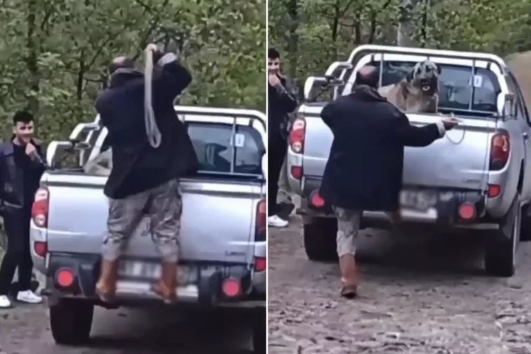 Elindeki halatla defalarca vurdu, yakınları ise gülerek seyretti
